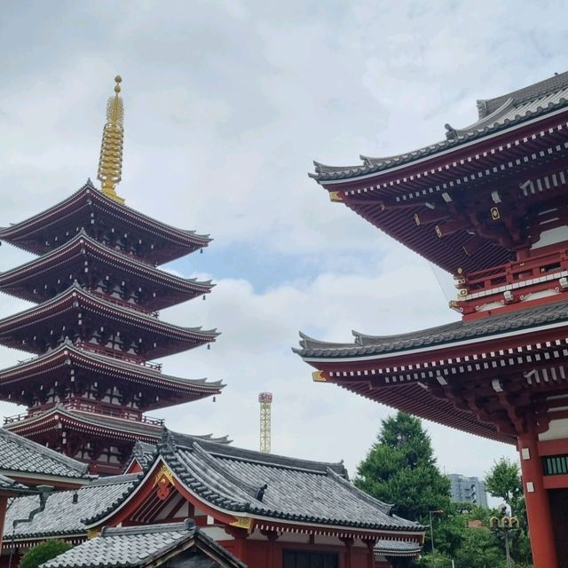 도쿄에서 느낄 수 있는 일본의 전통⛩️
