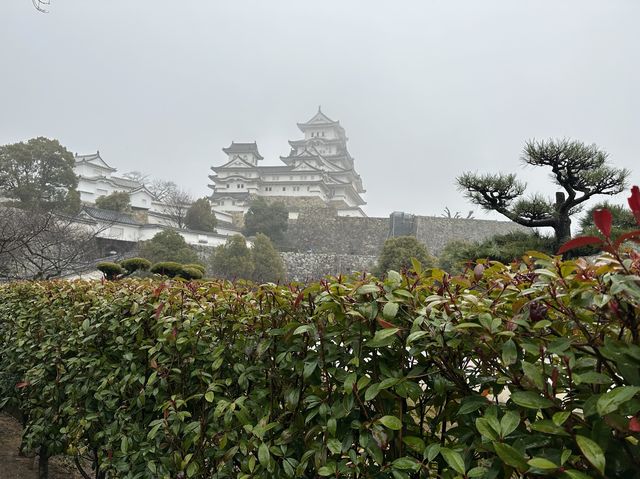 日本兵庫｜國寶名城-姬路城