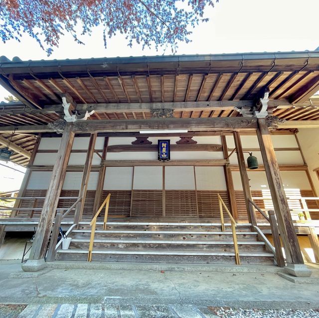 Sacred Tranquility: Juoji Temple Chronicles