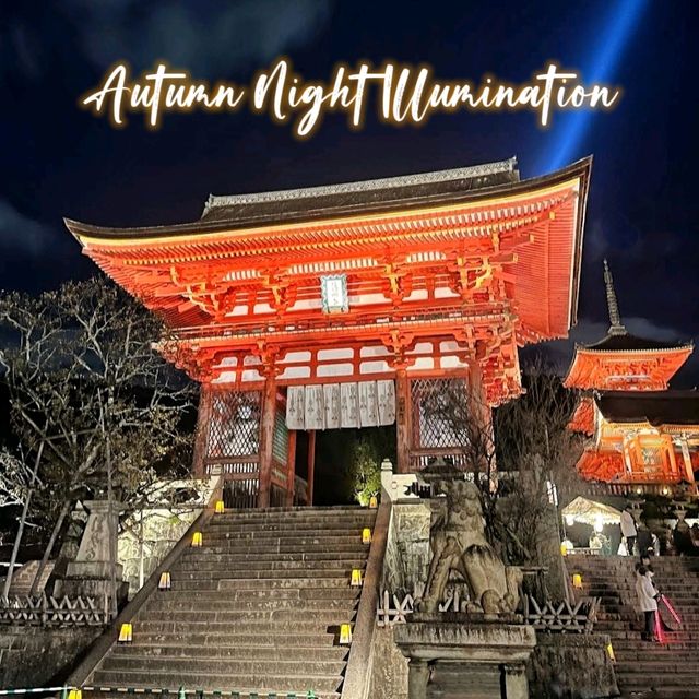 Autumn Night Illumination of the Kiyomizu-dera