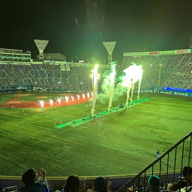 【神奈川】横浜スタジアムでの夏の一日、ベイスターズの輝き