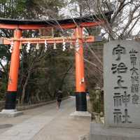 漫遊京都抹茶小鎮，吃喝玩樂宇治一日遊。