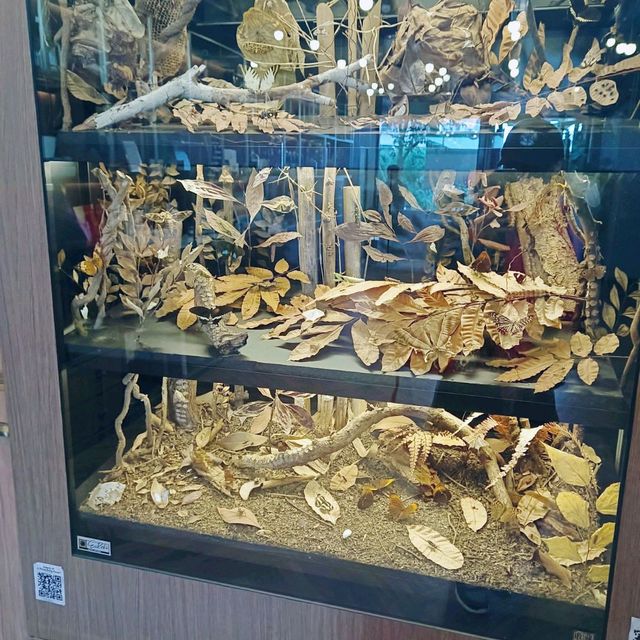 電梯直達八樓，參加會員工作坊！