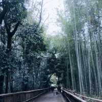 京都嵐山綠竹林徑