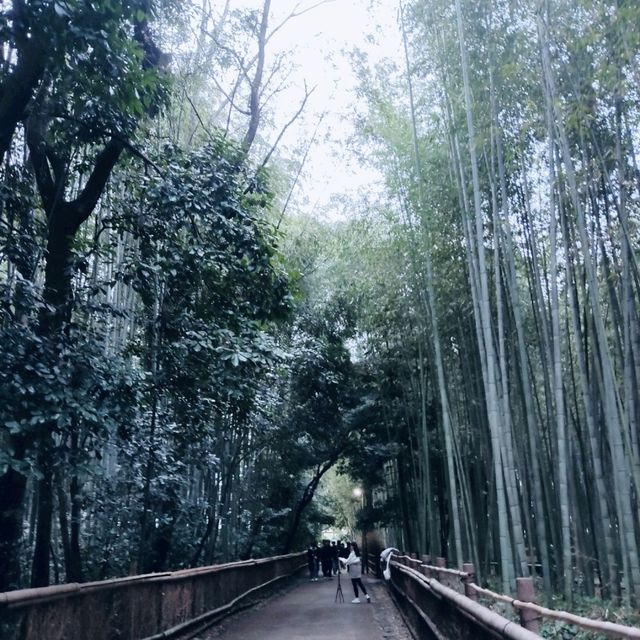 京都嵐山綠竹林徑