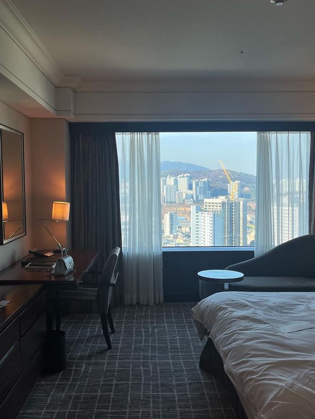 부산 도심 속 휴양지 롯데호텔 부산🍃