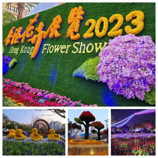 目不暇給嘅花展🌺😍@維園