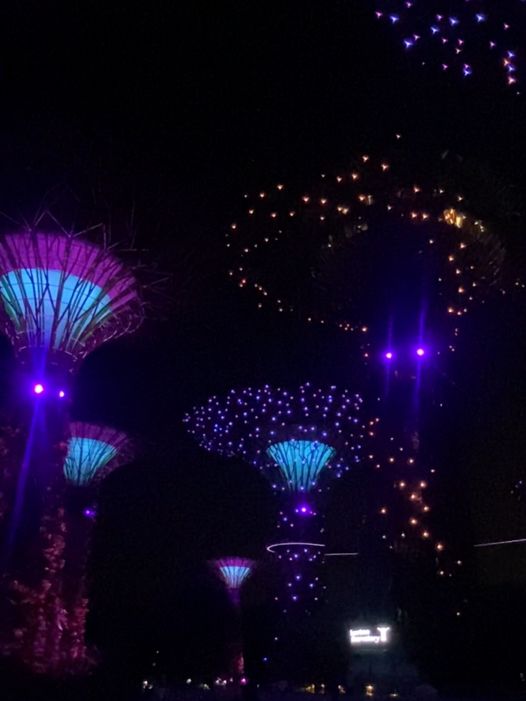 🌸🌼 OCBC Light and Sound Show✨🎇🎆