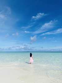 환상의 섬, 꿈의 신혼여행지인 천국 몰디브🇲🇻🏝️