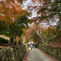 神秘古剎—日本京都宇治市「興聖寺」