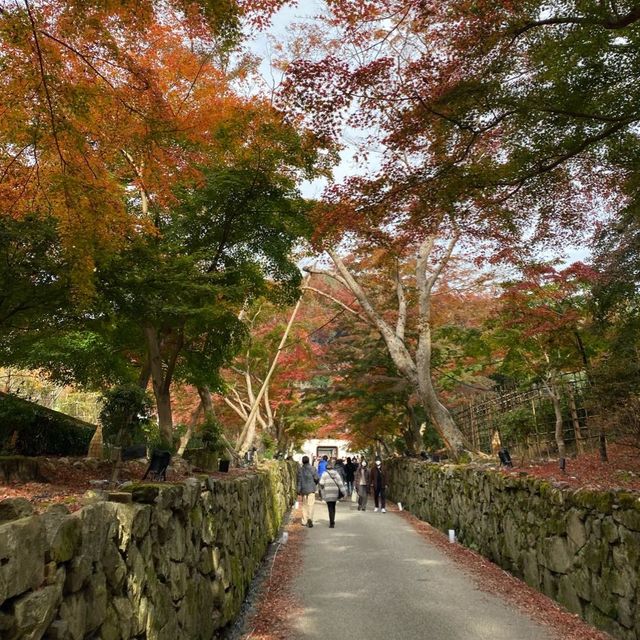 神秘古剎—日本京都宇治市「興聖寺」