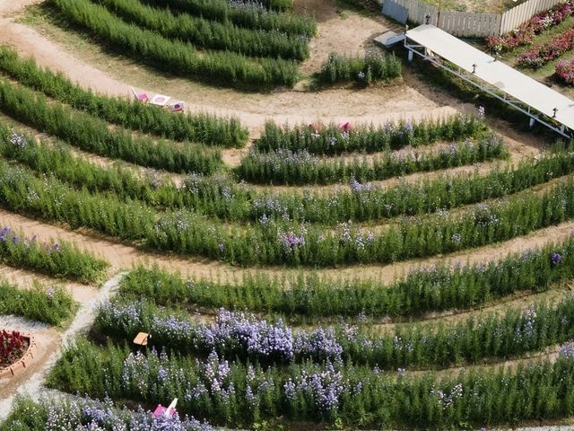 Songkhla Flower Farm ... หาดใหญ่ จ.สงขลา
