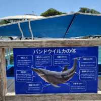 【伊豆】下田海中水族館