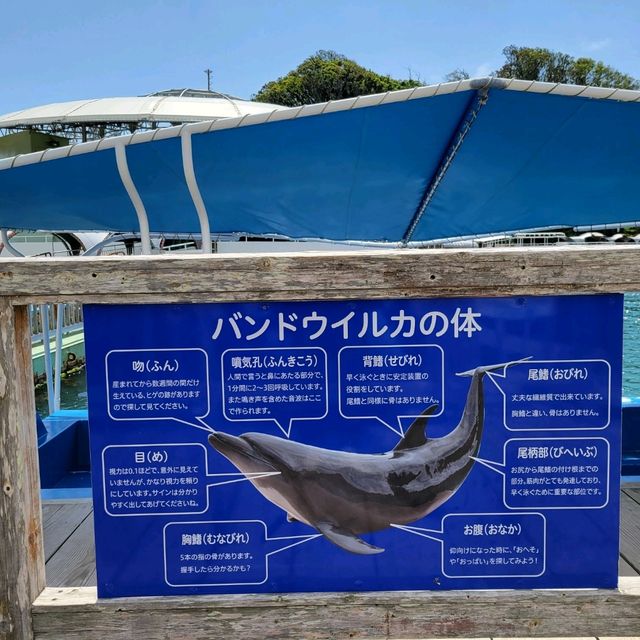 【伊豆】下田海中水族館