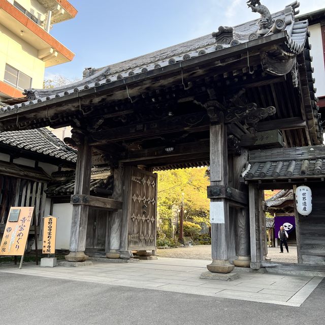 【奈良】吉野山で古き良き泊まれる宿