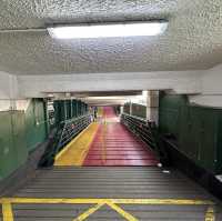 天星小輪 - 香港的歷史文化遺產