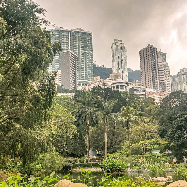 Waterfalls in the Park? Isn't it cool?