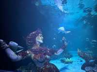 Aquarium​ Phuket ที่ใหญ่ที่สุดในประเทศไทย​