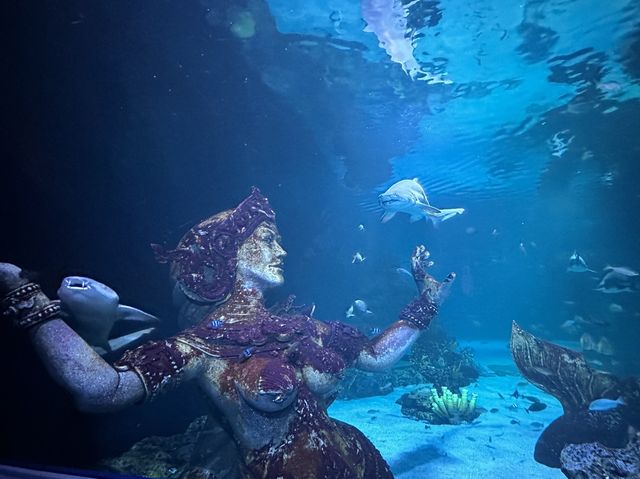 Aquarium​ Phuket ที่ใหญ่ที่สุดในประเทศไทย​