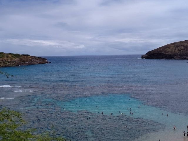 ハワイ【ハナウマ湾】大人気ビーチ🏝️