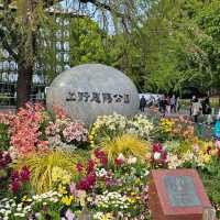 東京必到景點之上野恩賜公園
