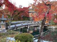 เที่ยวใบไม้เปลี่ยนสี เกียวโต วัดเอกันโดเซ็นริน 🍁⛩️