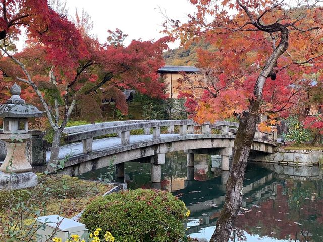 เที่ยวใบไม้เปลี่ยนสี เกียวโต วัดเอกันโดเซ็นริน 🍁⛩️