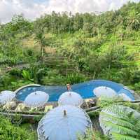 Wonderful rice terraces in Bali
