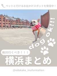 【横浜】わんこと行けるスポット6選🎡