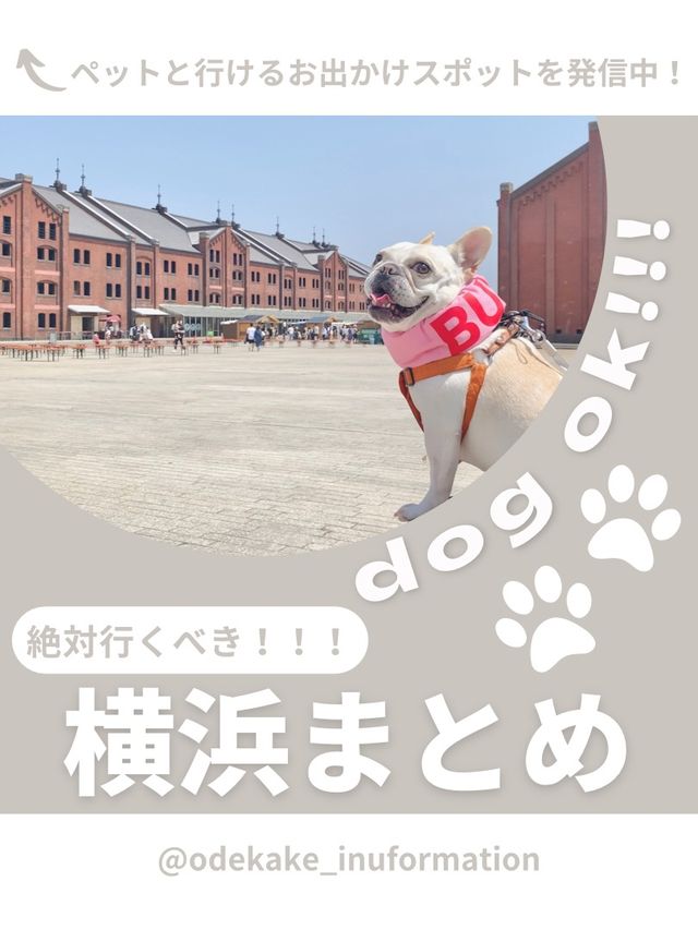 【横浜】わんこと行けるスポット6選🎡