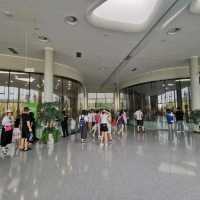 Summer At Chengdu To See Cute Pandas