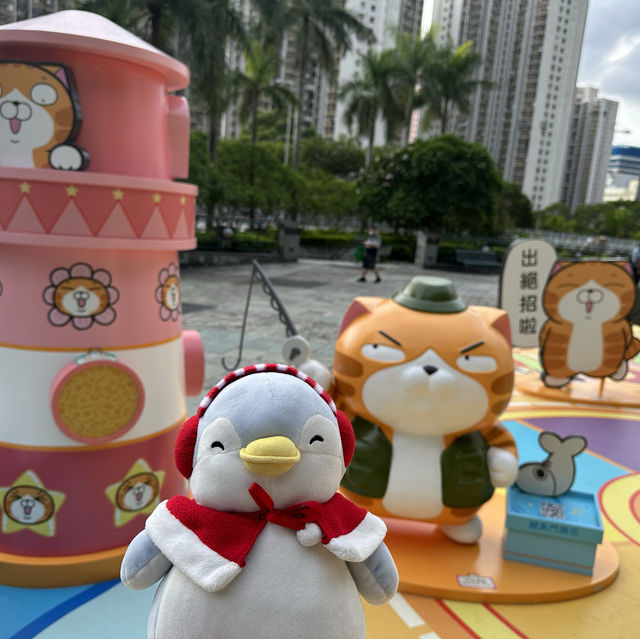 小雪球企鵝尋找白爛貓蹤跡🥰