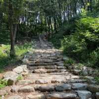 桂陽山城博物館🚶‍♀️桂陽山城🚶‍♀️散策
