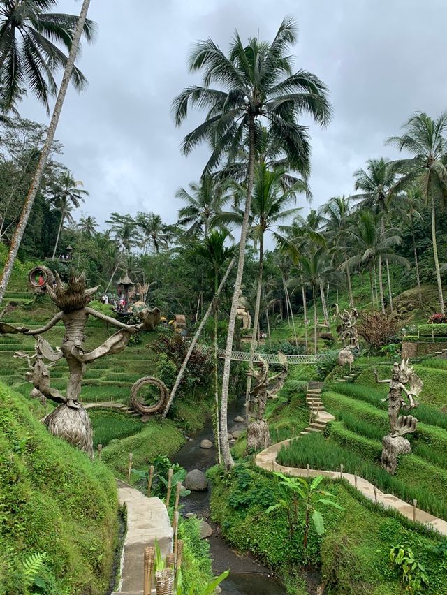 Discovering Bali: A Tropical Odyssey of Cult