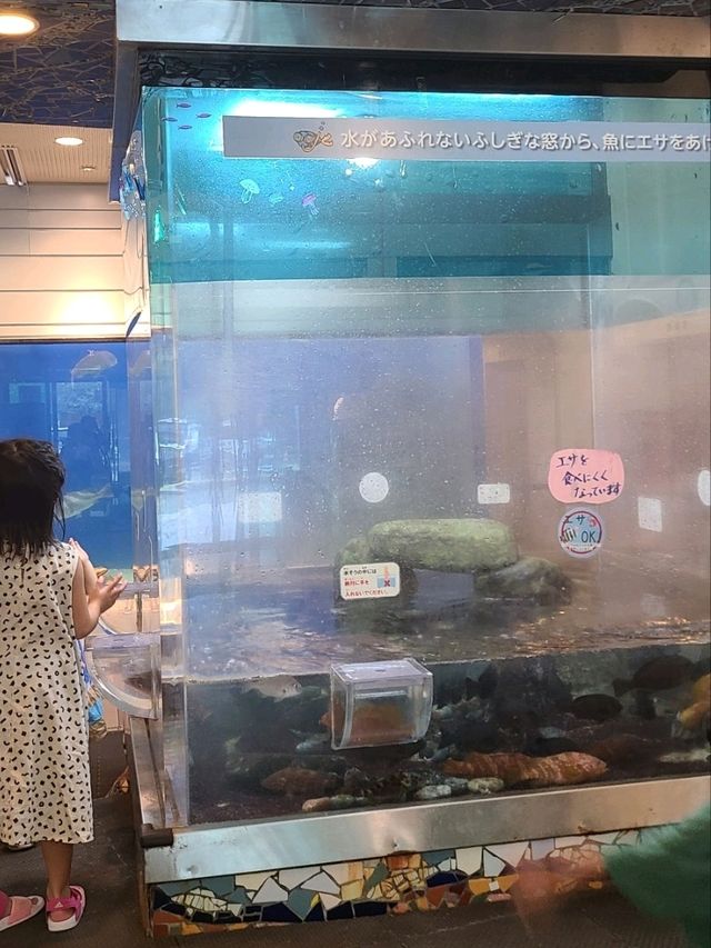 【福井】入館無料で楽しめる水族館