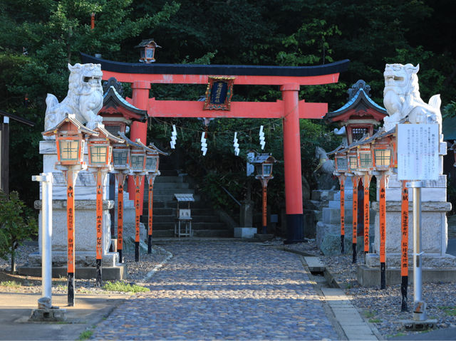 高山稻荷神社：美景，特色鳥居，適合任何時間和場景