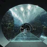海洋奇妙～新潟市水族館 Marinepia 日本海🐠🌊🐙