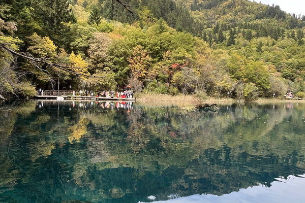 五彩斑斕🌸五花海🌸|Trip.com 九寨溝