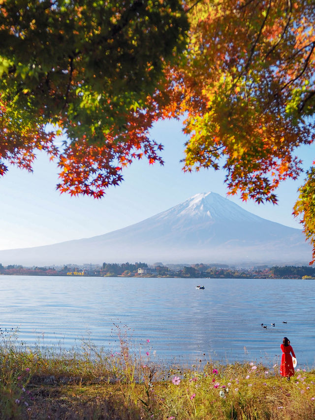 【山梨】紅葉×富士山　一度は見てみたい秋の美しい景色