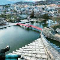 🏯中部長野松本城：國寶之城，傳統祭典🏯