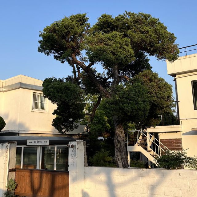 수원 가볼만한 곳 도시데이트 행궁동