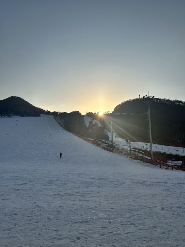 금잔디 스키에서 벗어나고자 가 본 지산 스키장에서의 최고 행복 스키⛷️