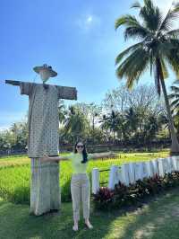 Authentic Malay cuisine by the paddy field