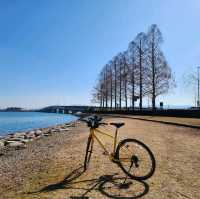 獨遊琵琶湖 , 三日兩夜單車環湖之旅