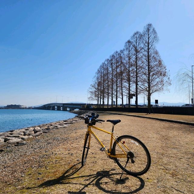 琵琶湖單車環湖