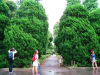 Imperial palace gardens