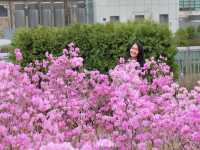หนีร้อน…ไปเดินชิคที่ Ewha Woman University 
