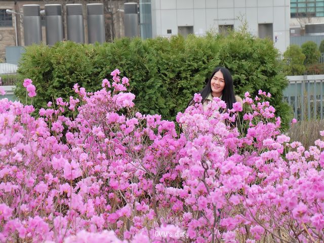 หนีร้อน…ไปเดินชิคที่ Ewha Woman University 