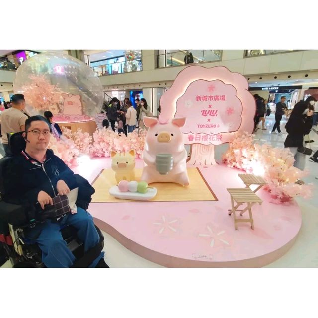 沙田新城市廣場有LuLu豬