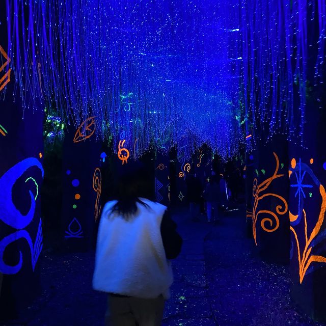 밤에 꼭 봐야하는 디지털 아트, 통영 디피랑⭐️